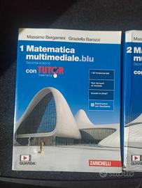 Matematica Multimediale.blu seconda edizione 