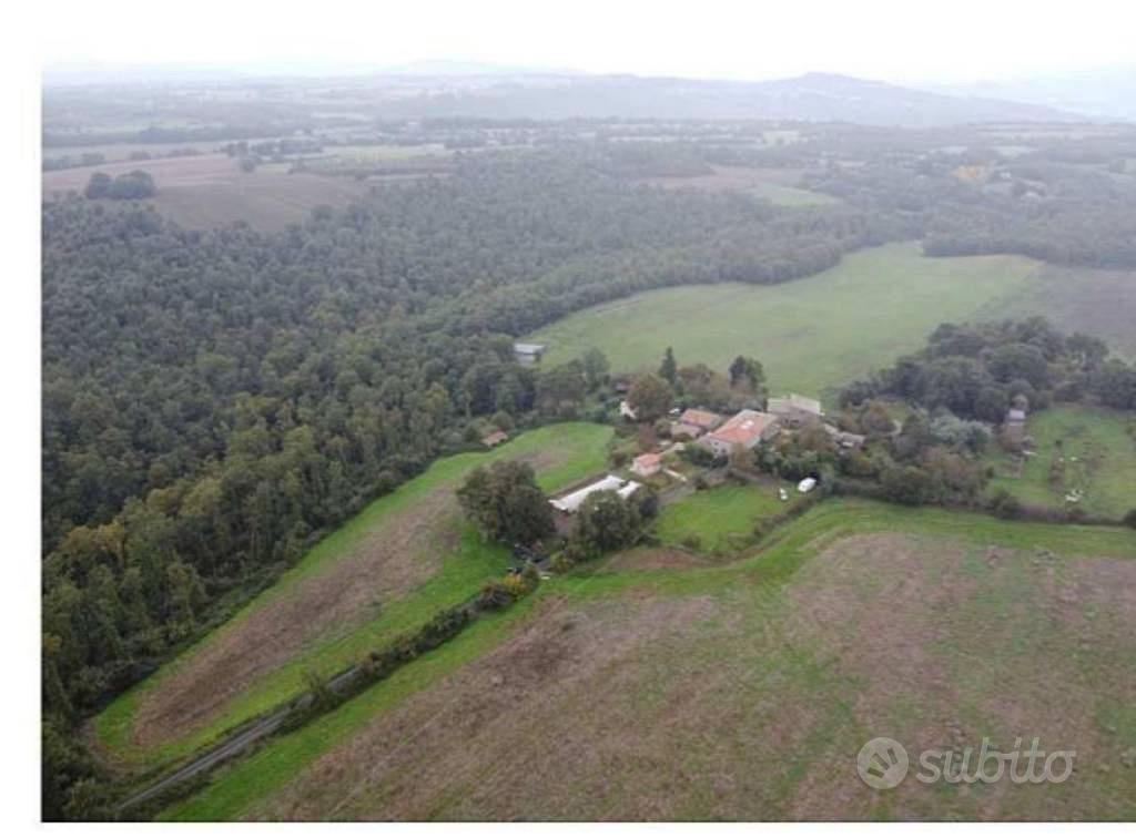 Immobile in asta di 1106 m² a Castel Giorgio - Vista 2