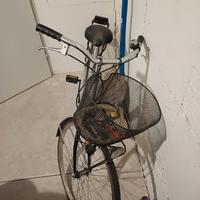 Bici da donna con cestello e campanello