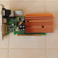 Scheda video PCI express 