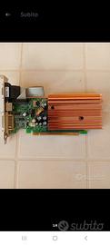 Scheda video PCI express 