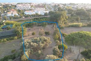 Terreno agricolo Sperlonga