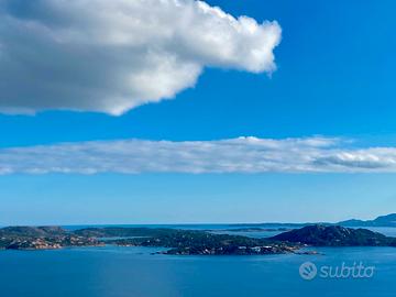 Staff sportivo per stagione 2026