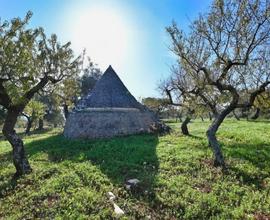 Rustico a Castellana Grotte, 1 locali