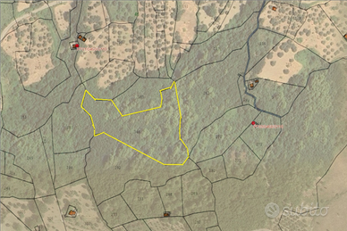 Terreno agricolo scalapitta