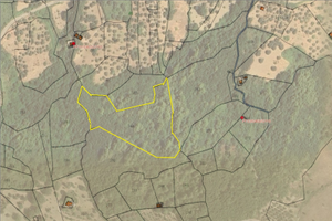 Terreno agricolo scalapitta