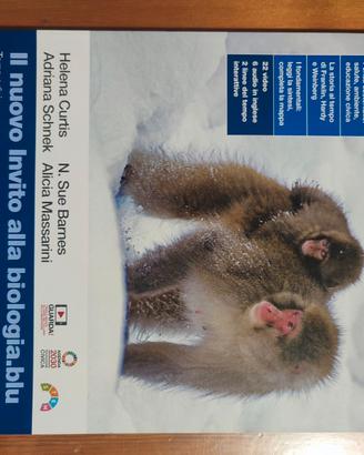 ISBN 978-88-08-60803-1