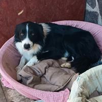 Affidiamo a veri amanti