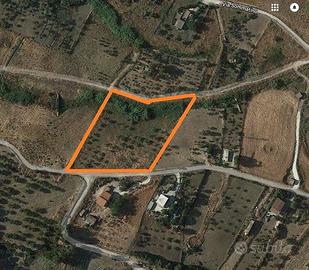 Rif.CM172- terreno agricolo san cataldo