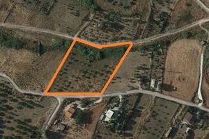 Rif.CM172- terreno agricolo san cataldo
