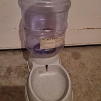 acqua e crocchette per cani e gatti