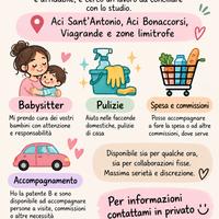 Babysitter, pulizie, accompagnamento