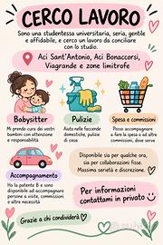 Babysitter, pulizie, accompagnamento