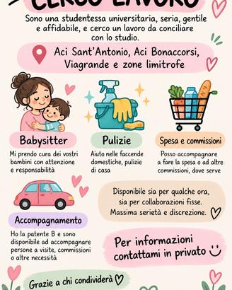 Babysitter, pulizie, accompagnamento