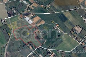 Terreno Agricolo - Assemini