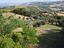 Immagine 8