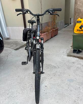 Bici wave