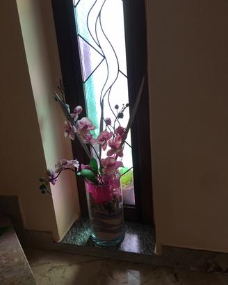 DECORAZIONE FLOREALE ORCHIDEA IN VASO