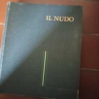 IL NUDO DI  KENNETH CLARK (x appassionati d,'arte)