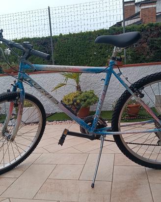 bici Mountain bike 24