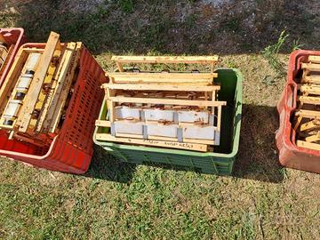 Attrezzatura apistica - Apicoltura