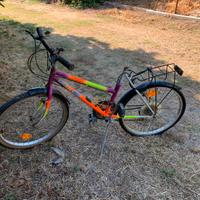 Bicicletta mountain bike