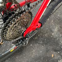 Vedo MTB ELETTRICA