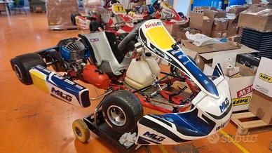 Birel Easykart 100