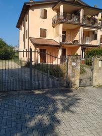 Trilocale appena ristrutturato