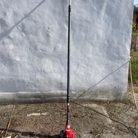 Potatore telescopico efco ptx2500