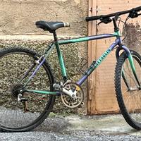 Bicicletta mtb vintage