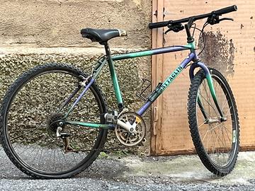 Bicicletta mtb vintage