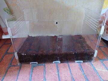 terrario acrilico trasparente 