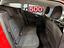 Immagine 19