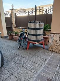 TORCHIO