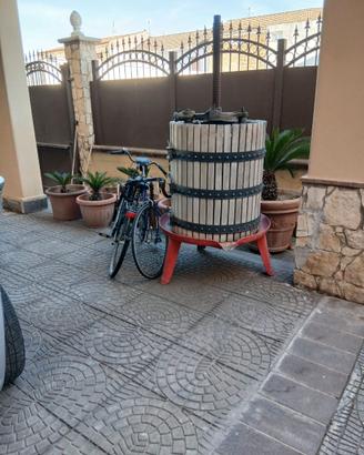 TORCHIO