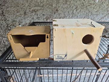 Nidi per diamantini o esotici