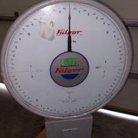 bilancia bilico fulgor