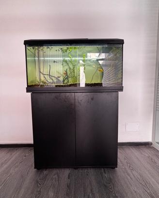 Acquario Juwel 80 litri da 600 eur.o
