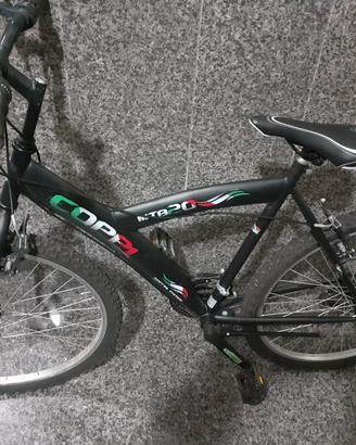 due biciclette 