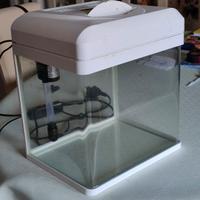 Acquario pesci rossi Billy16 