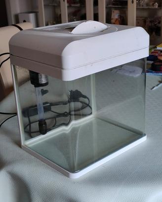 Acquario pesci rossi Billy16 