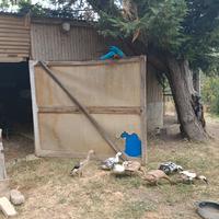 Anatroccoli corritrice