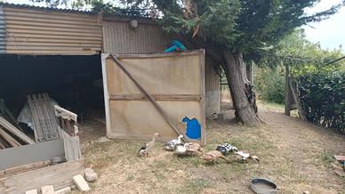 Anatroccoli corritrice