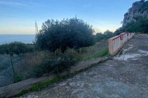 Terreno agricolo