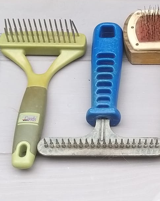 Accessori toelettaura e igiene cani