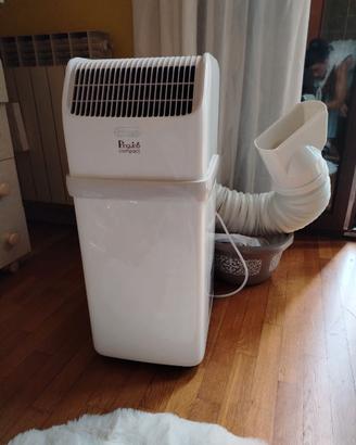 pinguino de longhi