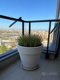 Vaso rotondo bianco arredo