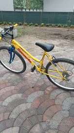 Bicicletta ragazzo