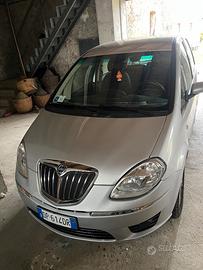 Lancia musa